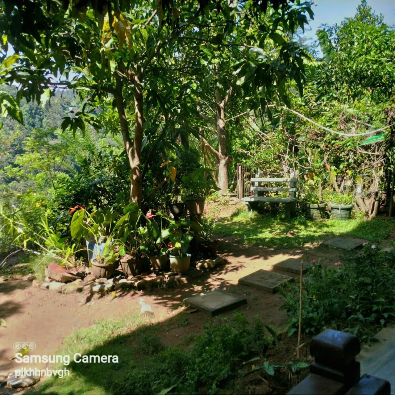 Pasan Guest Bed and Breakfast Ella Buitenkant foto