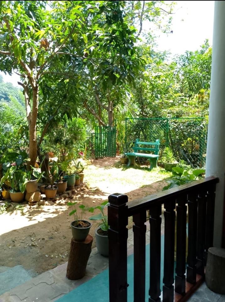 Pasan Guest Bed and Breakfast Ella Buitenkant foto