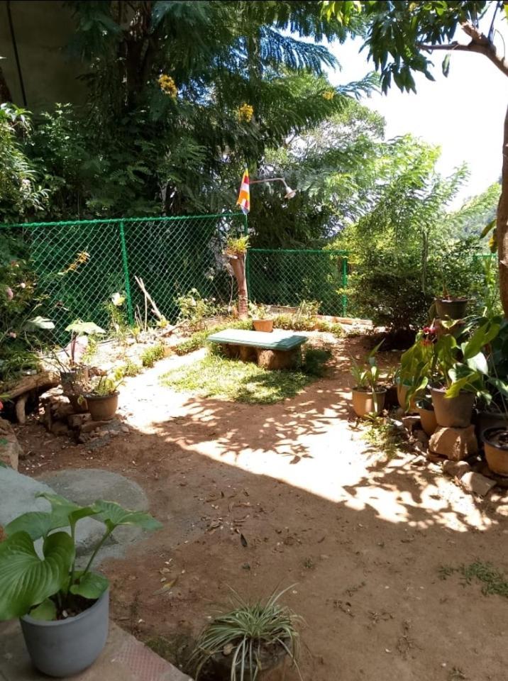 Pasan Guest Bed and Breakfast Ella Buitenkant foto