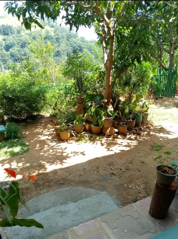 Pasan Guest Bed and Breakfast Ella Buitenkant foto