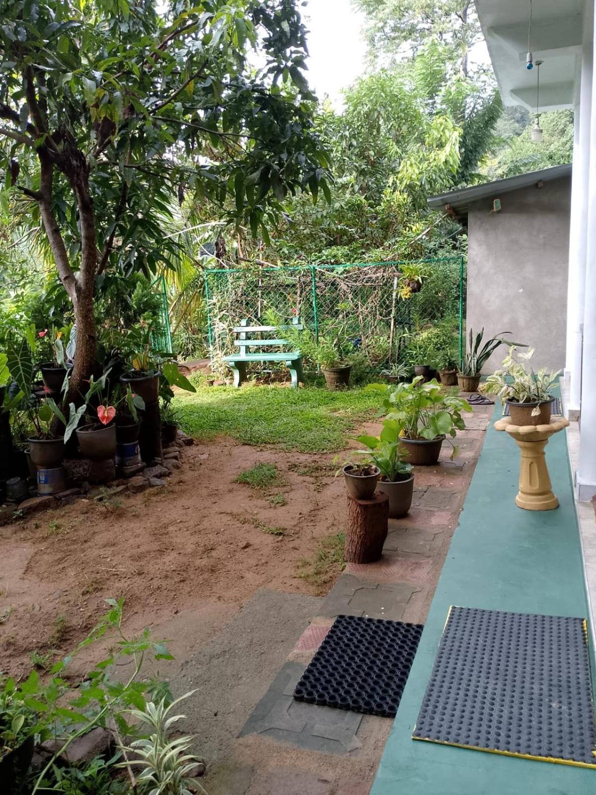 Pasan Guest Bed and Breakfast Ella Buitenkant foto
