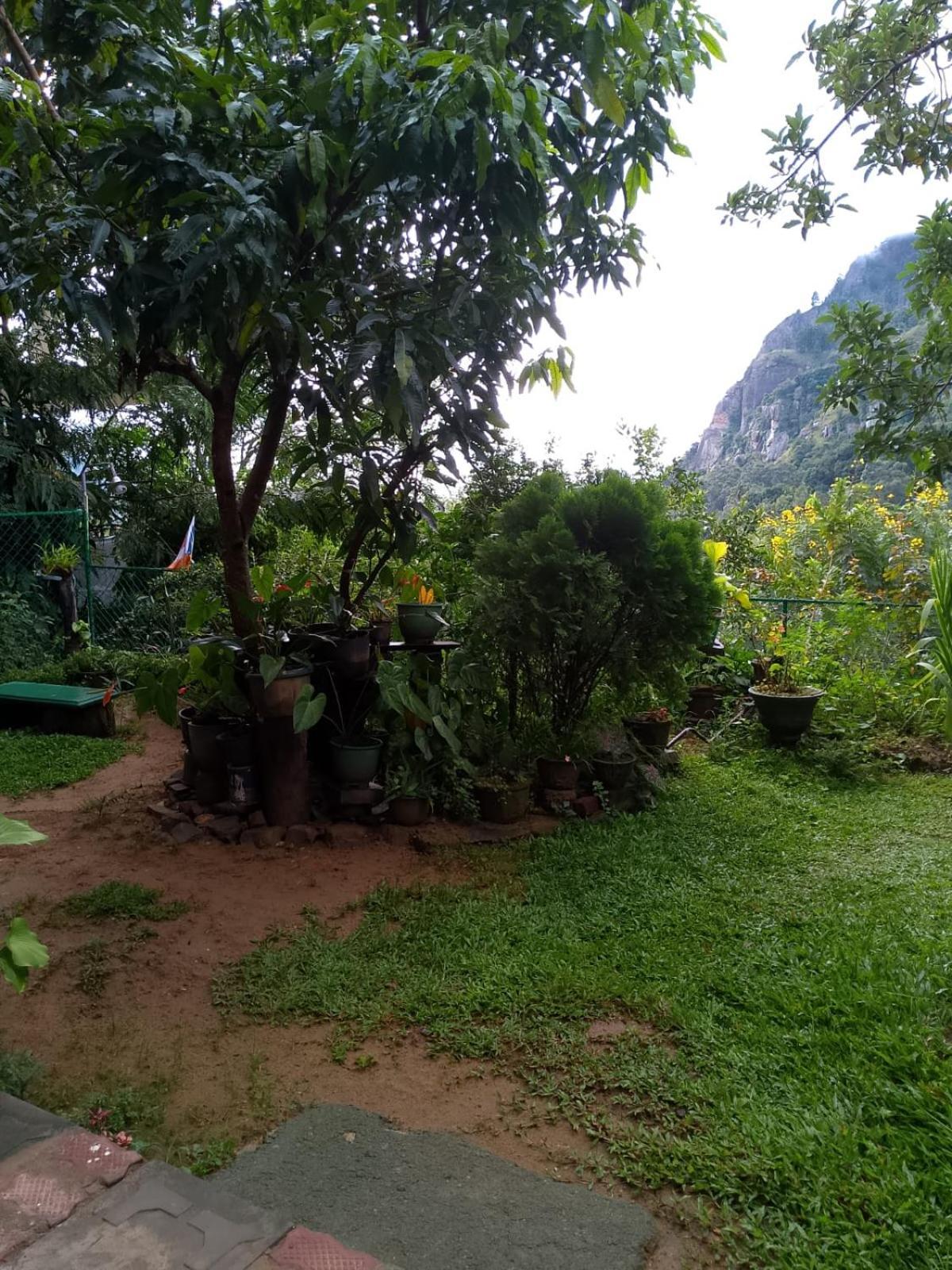 Pasan Guest Bed and Breakfast Ella Buitenkant foto