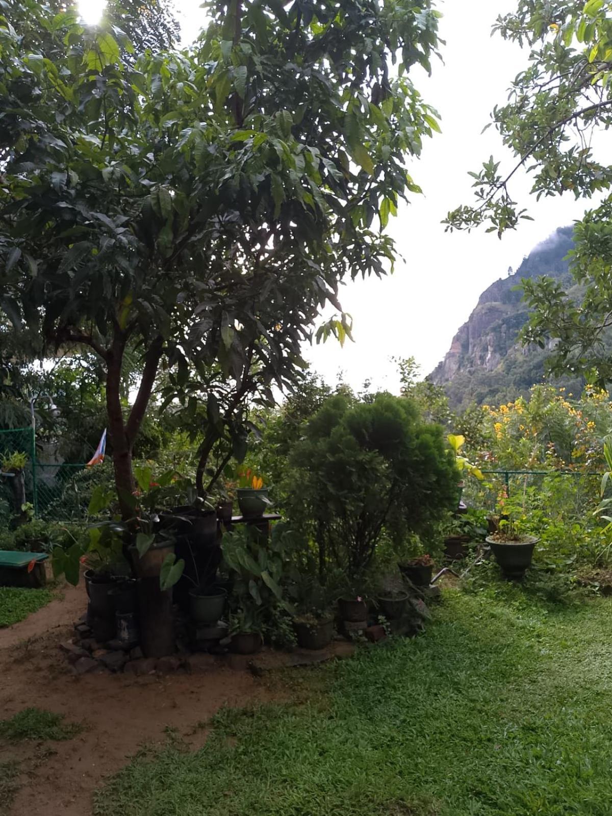 Pasan Guest Bed and Breakfast Ella Buitenkant foto