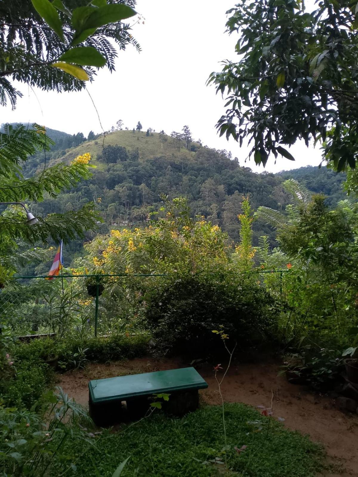 Pasan Guest Bed and Breakfast Ella Buitenkant foto