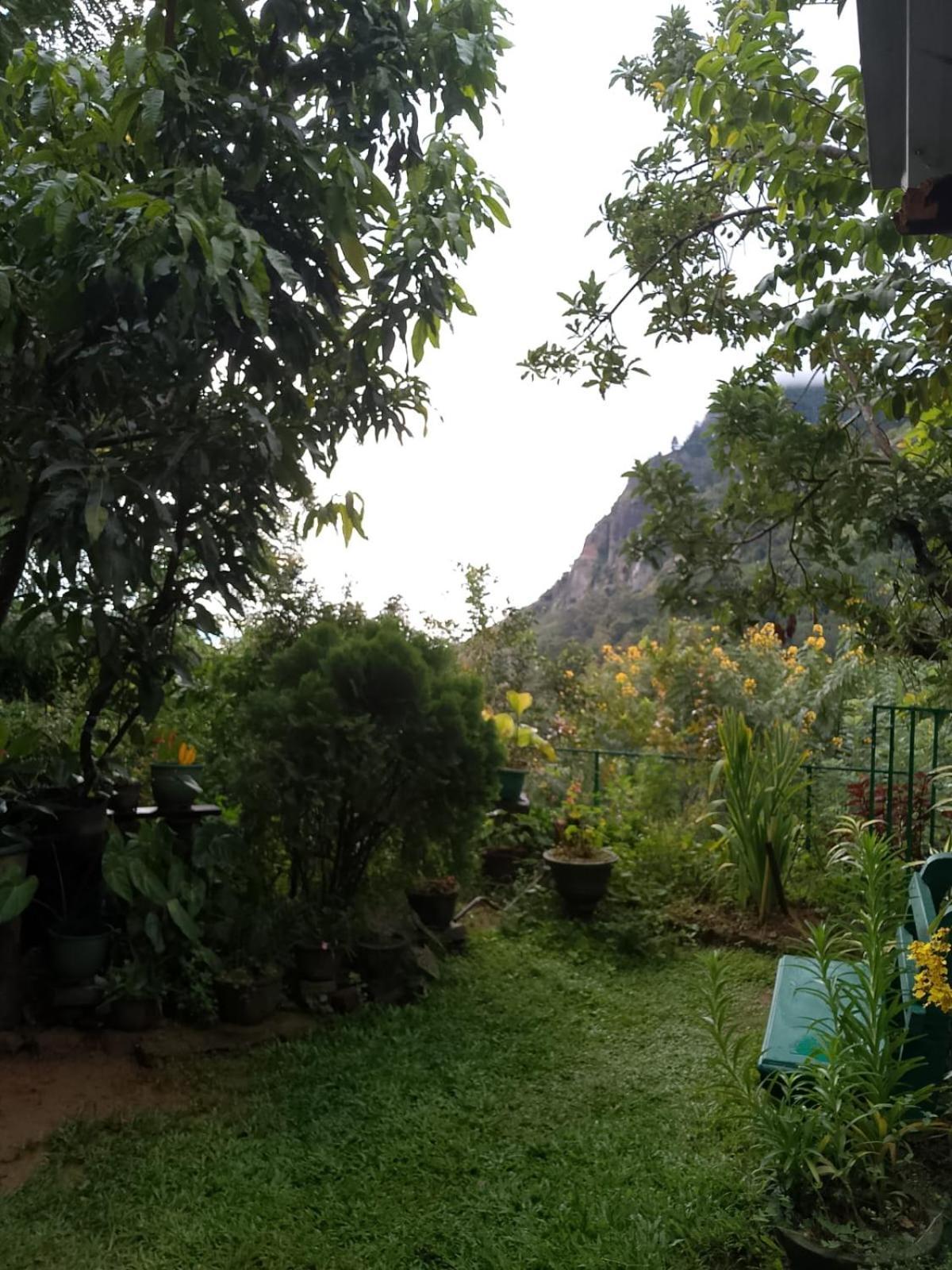 Pasan Guest Bed and Breakfast Ella Buitenkant foto