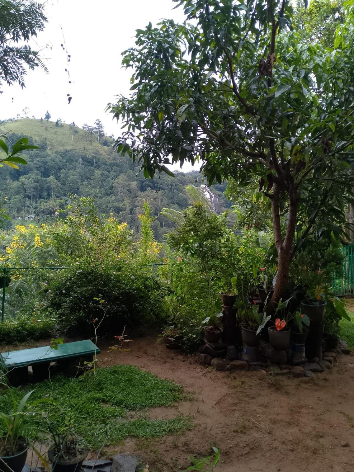 Pasan Guest Bed and Breakfast Ella Buitenkant foto